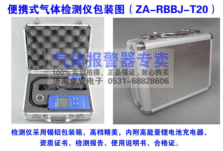 ZA-RBBJ-T20可燃气体检测仪